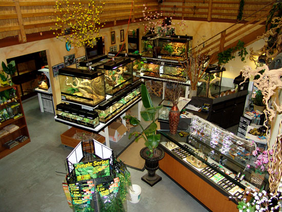 The Serpentarium of Lodi, CA!
