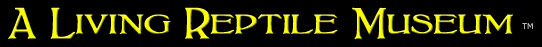 The Serpentarium - A Living Reptile Museum TM