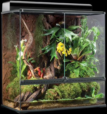 The Serpentarium - Rent, Lease or Own a Professional Reptile Exhibit