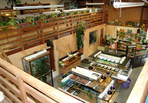 The Serpentarium