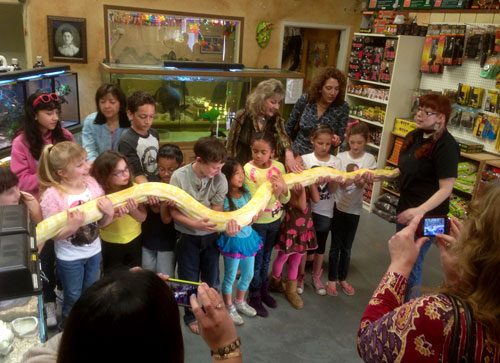 Reptile Birthday Parties! Reptile Birthday Parties at The Serpentarium!