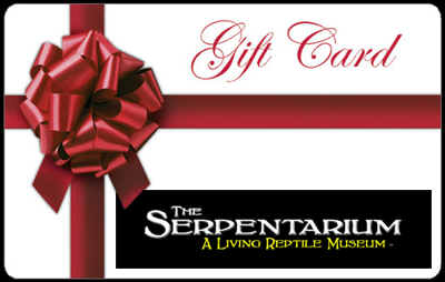 The Serpentarium - Reptile Gift Certificates!