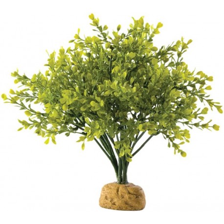 Boxwood Bush (Exo Terra)