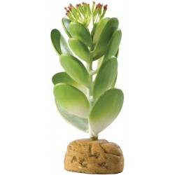 Jade Cactus (Exo Terra)