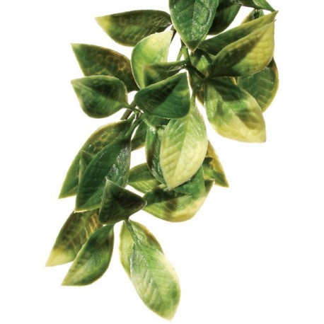 Mandarin Hanging Plant - LG (Exo Terra)