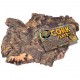 Cork Bark Flat - LG (Zoo Med)