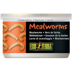 Mealworms - 1.2 oz Can (Exo Terra)