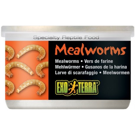 Mealworms - 1.2 oz Can (Exo Terra)