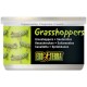 Grasshoppers - 1.2 oz Can (Exo Terra)