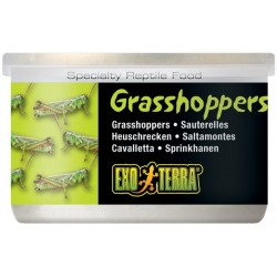 Grasshoppers - 1.2 oz Can (Exo Terra)