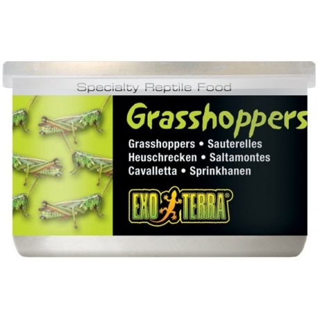 Grasshoppers - 1.2 oz Can (Exo Terra)