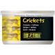 Crickets - 1.2 oz Can (Exo Terra)