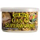 Can O' Superworms - 1.2 oz (Zoo Med)