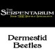 Dermestid Beetles