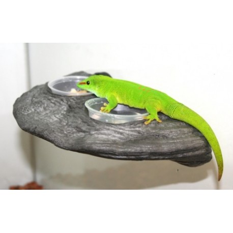 Gecko Ledge - Granite (Pet-Tech)