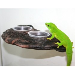 Gecko Ledge - Earth (Pet-Tekk)