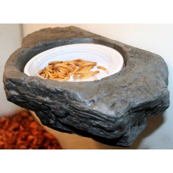 Worm Feeder Ledge - SM - Granite (Pet-Tekk)