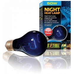Night Heat Lamp - 50w (Exo Terra)