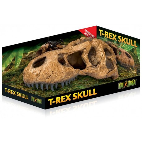 Skull - T-Rex (Exo Terra)