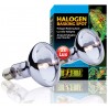 Halogen Basking Spot - 75w (Exo Terra)