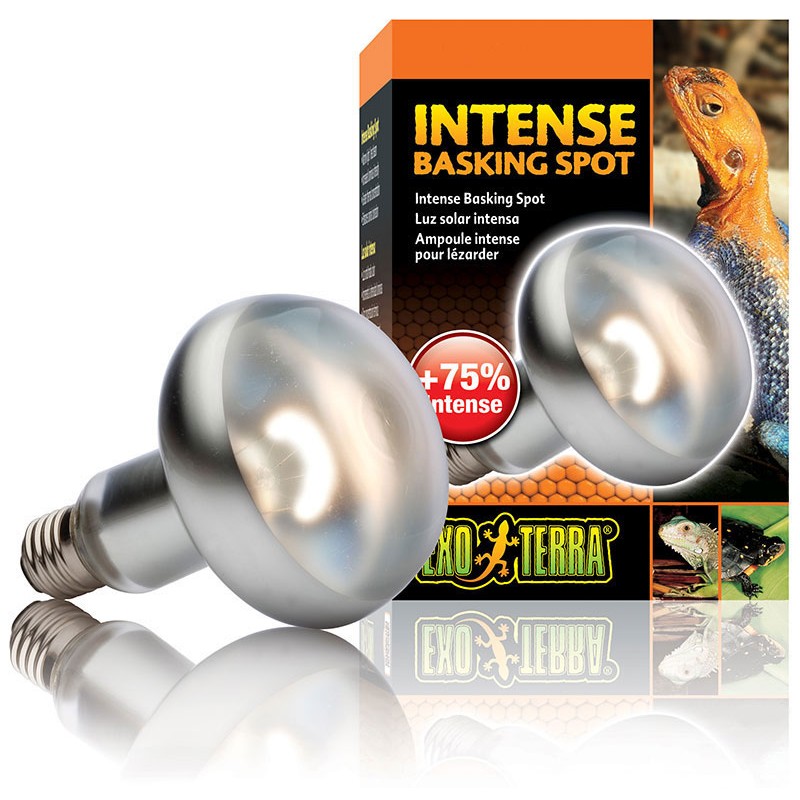 Terra Intense Spot (50w)