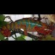 Ambilobe Panther Chameleons - Blue Bar (Babies)