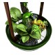 Chameleon Cantina Drinking Fountain (BioBubble)