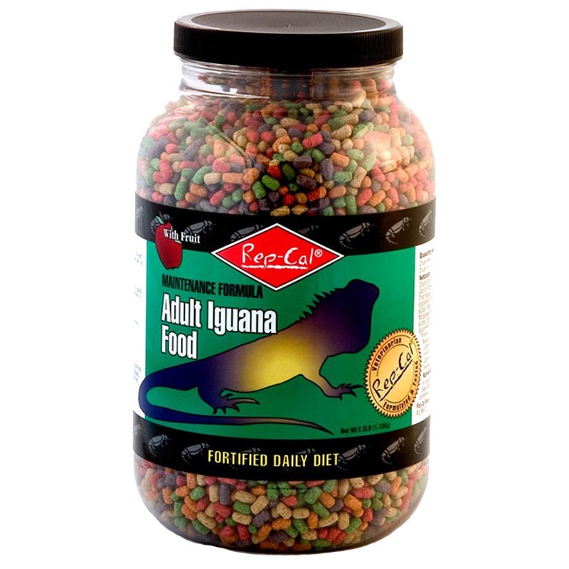Moya recommends best of Adult iguana food iguana food Adult