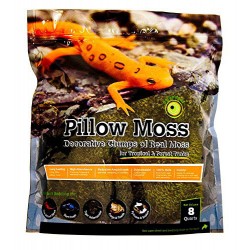 Pillow Moss - 8 qt (Galapagos)