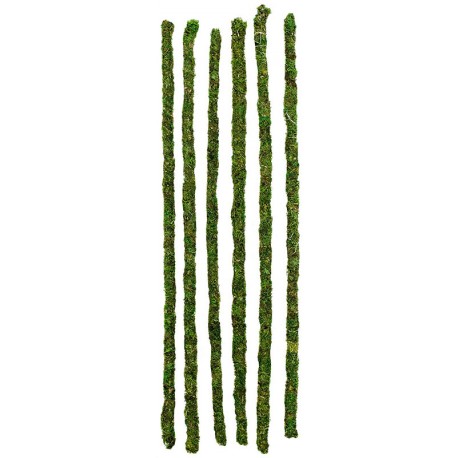 Mossy Sticks - 18" - 6pk (Galapagos)