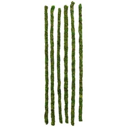 Mossy Sticks - 24" - 6pk (Galapagos)