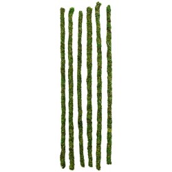 Mossy Sticks - 24" (Galapagos)