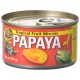 Tropical Fruit Mix-Ins - Papaya (Zoo Med)