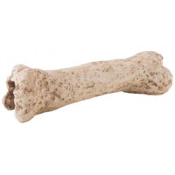 Dinosaur Bone