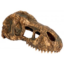 Skull - T-Rex - Small (Exo Terra)