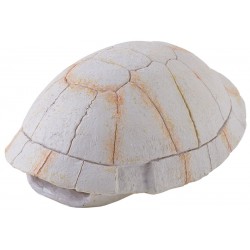 Tortoise Skeleton (Exo Terra)