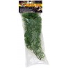 Cannabis - LG (Zoo Med)