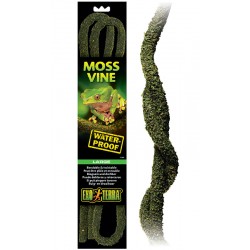 Moss Vine - LG (Exo Terra)