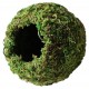 Mossy Cave - Green - 4" (Galapagos)
