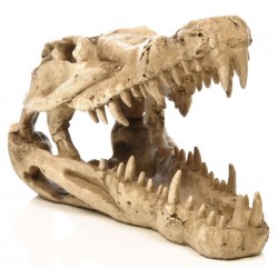Skull - Crocodile (Penn-Plax)