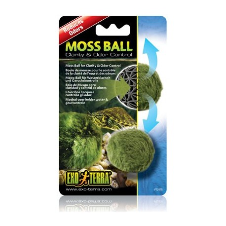 Moss Ball (Exo Terra)