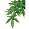 Jungle Plant - Abutilon - LG (Exo Terra)