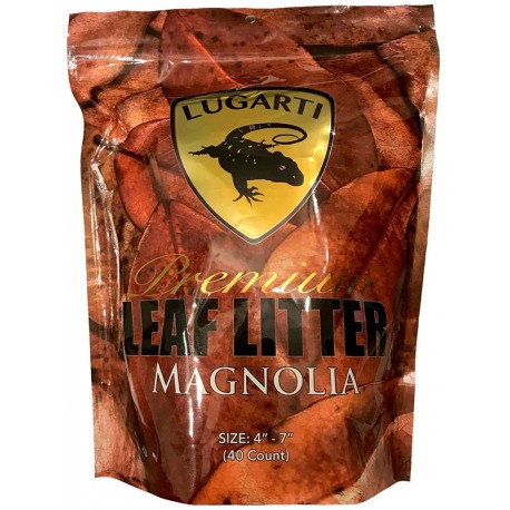 Premium Leaf Litter - Magnolia (Lugarti)