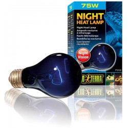 Night Heat Lamp - 75w (Exo Terra)