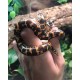 Kenyan Sand Boas (Babies)