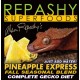 Pineapple Express - 3 oz (Repashy)