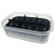 Reptile Egg Incubation Container - Small (Lugarti)