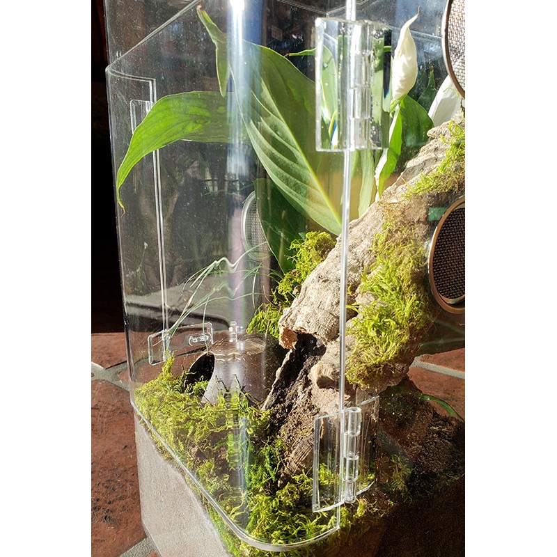 Coconut Hideout House Tarantula Enclosure Accessories Delicate