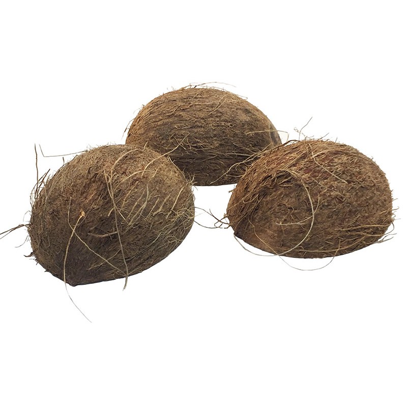 Coconut Shell Half w/ Fiber