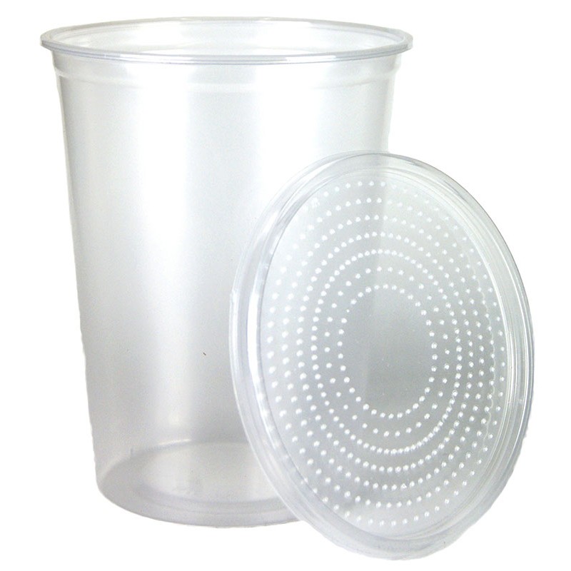 32 oz Clear Plastic Cup with Metal Screen Lid - Rainbow Mealworms